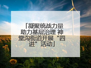 凝聚统战力量 助力基层治理 神堂沟街道开展“四进”活动