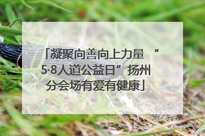 凝聚向善向上力量 “5·8人道公益日”扬州分会场有爱有健康