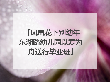 凤凰花下别幼年 东湖路幼儿园以爱为舟送行毕业班