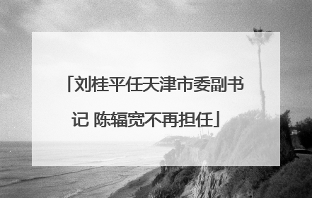 刘桂平任天津市委副书记 陈辐宽不再担任
