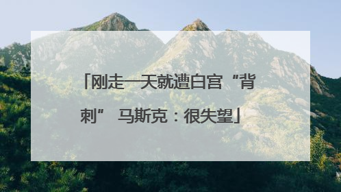 刚走一天就遭白宫“背刺” 马斯克：很失望