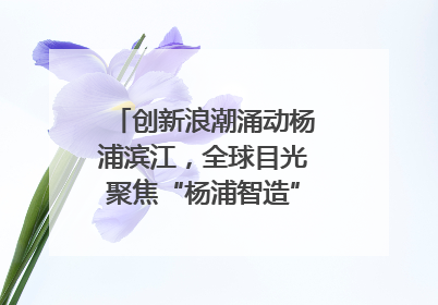 创新浪潮涌动杨浦滨江，全球目光聚焦“杨浦智造”｜相约复兴岛