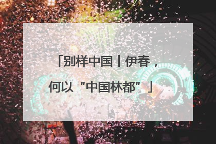 别样中国丨伊春，何以“中国林都”