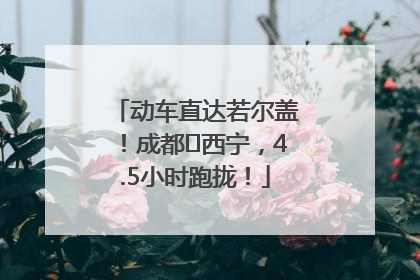 动车直达若尔盖！成都⇄西宁，4.5小时跑拢！