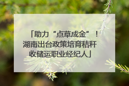 助力“点草成金”！湖南出台政策培育秸秆收储运职业经纪人