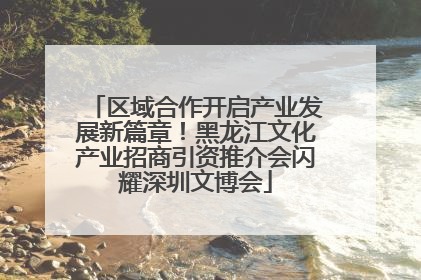 区域合作开启产业发展新篇章！黑龙江文化产业招商引资推介会闪耀深圳文博会