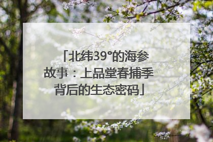 北纬39°的海参故事：上品堂春捕季背后的生态密码