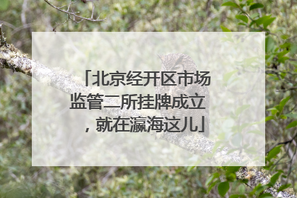 北京经开区市场监管二所挂牌成立，就在瀛海这儿