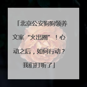 北京公安狗狗领养文案“火出圈”！心动之后，如何行动？我们打听了