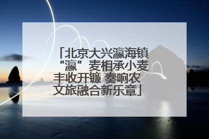 北京大兴瀛海镇“瀛”麦相承小麦丰收开镰 奏响农文旅融合新乐章