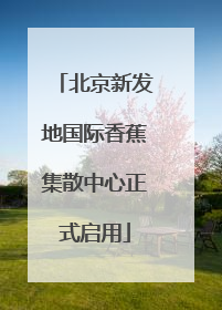 北京新发地国际香蕉集散中心正式启用