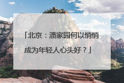 北京：潘家园何以悄悄成为年轻人心头好？
