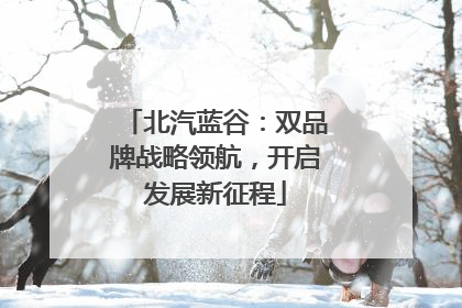 北汽蓝谷：双品牌战略领航，开启发展新征程