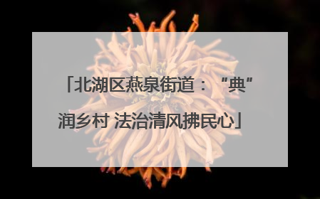 北湖区燕泉街道：“典”润乡村 法治清风拂民心