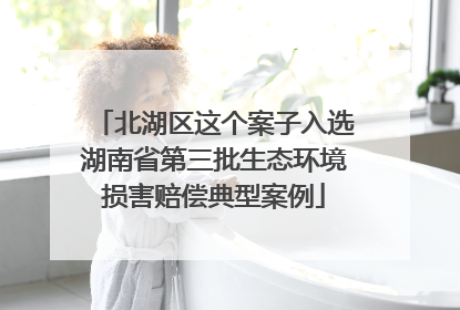 北湖区这个案子入选湖南省第三批生态环境损害赔偿典型案例