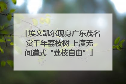 埃文凯尔现身广东茂名 赏千年荔枝树 上演无间道式“荔枝自由”