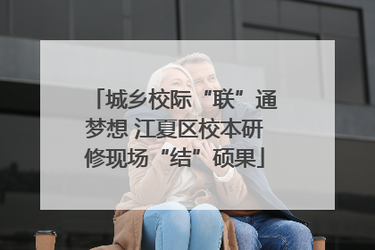 城乡校际“联”通梦想 江夏区校本研修现场“结”硕果