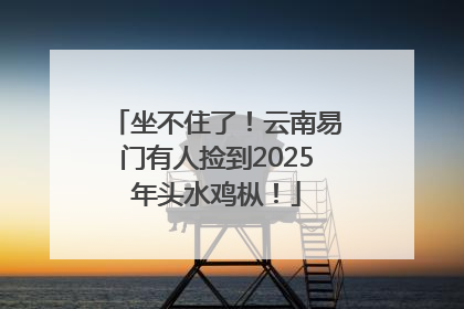 坐不住了！云南易门有人捡到2025年头水鸡枞！