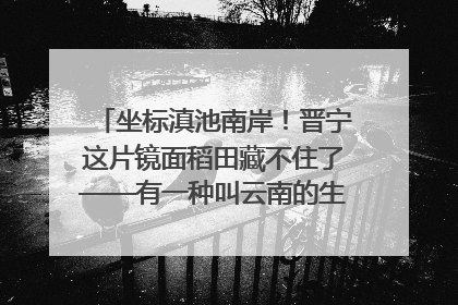 坐标滇池南岸！晋宁这片镜面稻田藏不住了——有一种叫云南的生活之365天