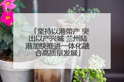坚持以港带产 突出以产兴城 兰州陆港加快推进一体化融合高质量发展