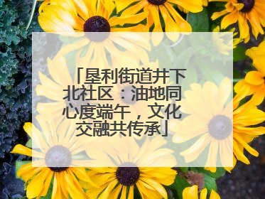 垦利街道井下北社区：油地同心度端午，文化交融共传承
