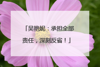 吴艳妮：承担全部责任，深刻反省！