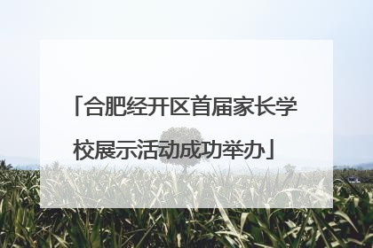 合肥经开区首届家长学校展示活动成功举办