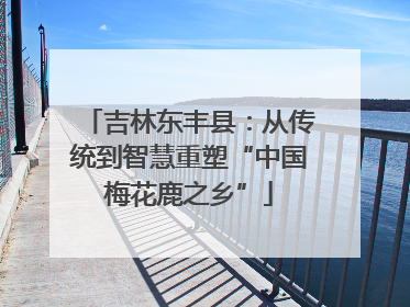 吉林东丰县：从传统到智慧重塑“中国梅花鹿之乡”