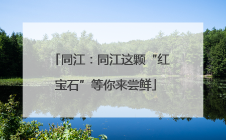 同江：同江这颗“红宝石”等你来尝鲜