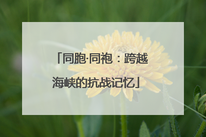 同胞·同袍：跨越海峡的抗战记忆