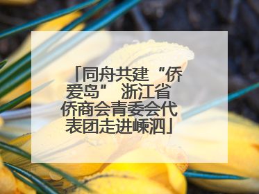 同舟共建“侨爱岛” 浙江省侨商会青委会代表团走进嵊泗