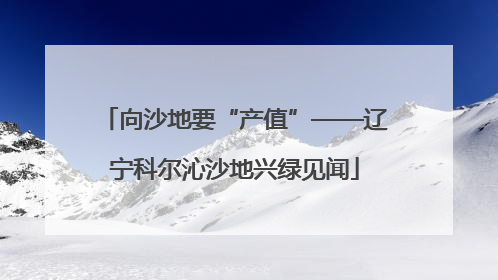 向沙地要“产值”——辽宁科尔沁沙地兴绿见闻