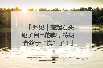听·见｜搬起石头砸了自己的脚，特朗普终于“慌”了！