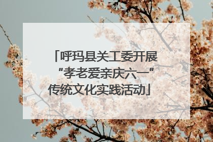 呼玛县关工委开展“孝老爱亲庆六一”传统文化实践活动