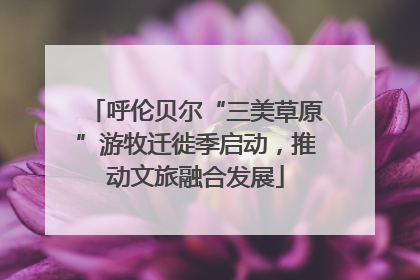 呼伦贝尔“三美草原”游牧迁徙季启动，推动文旅融合发展