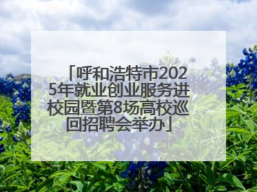 呼和浩特市2025年就业创业服务进校园暨第8场高校巡回招聘会举办