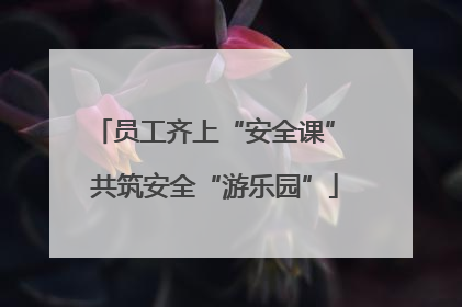 员工齐上“安全课” 共筑安全“游乐园”