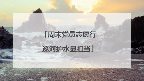 周末党员志愿行 巡河护水显担当