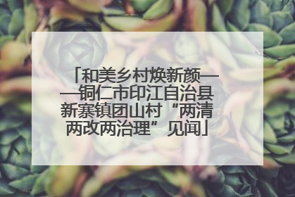 和美乡村焕新颜——铜仁市印江自治县新寨镇团山村“两清两改两治理”见闻