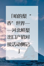 咱的梨“香”世界——河北鲜梨出口产销对接活动侧记
