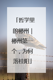 哲学里的郴州｜郴州第一个，为何落桂阳