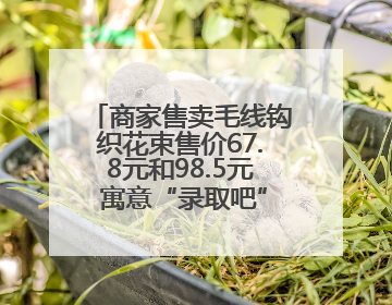 商家售卖毛线钩织花束售价67.8元和98.5元 寓意“录取吧”“985”