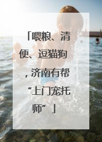 喂粮、清便、逗猫狗，济南有帮“上门宠托师”