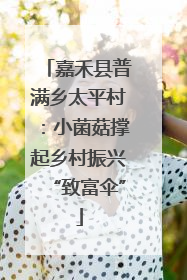 嘉禾县普满乡太平村：小菌菇撑起乡村振兴“致富伞”