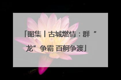 图集丨古城燃情：群“龙”争霸 百舸争渡