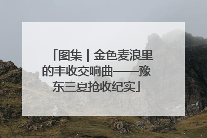 图集｜金色麦浪里的丰收交响曲——豫东三夏抢收纪实
