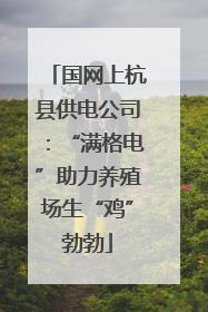 国网上杭县供电公司：“满格电”助力养殖场生“鸡”勃勃