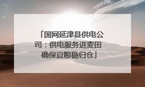 国网延津县供电公司：供电服务进麦田 确保夏粮稳归仓