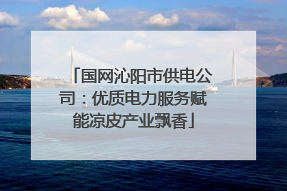 国网沁阳市供电公司：优质电力服务赋能凉皮产业飘香