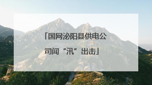 国网泌阳县供电公司闻“汛”出击